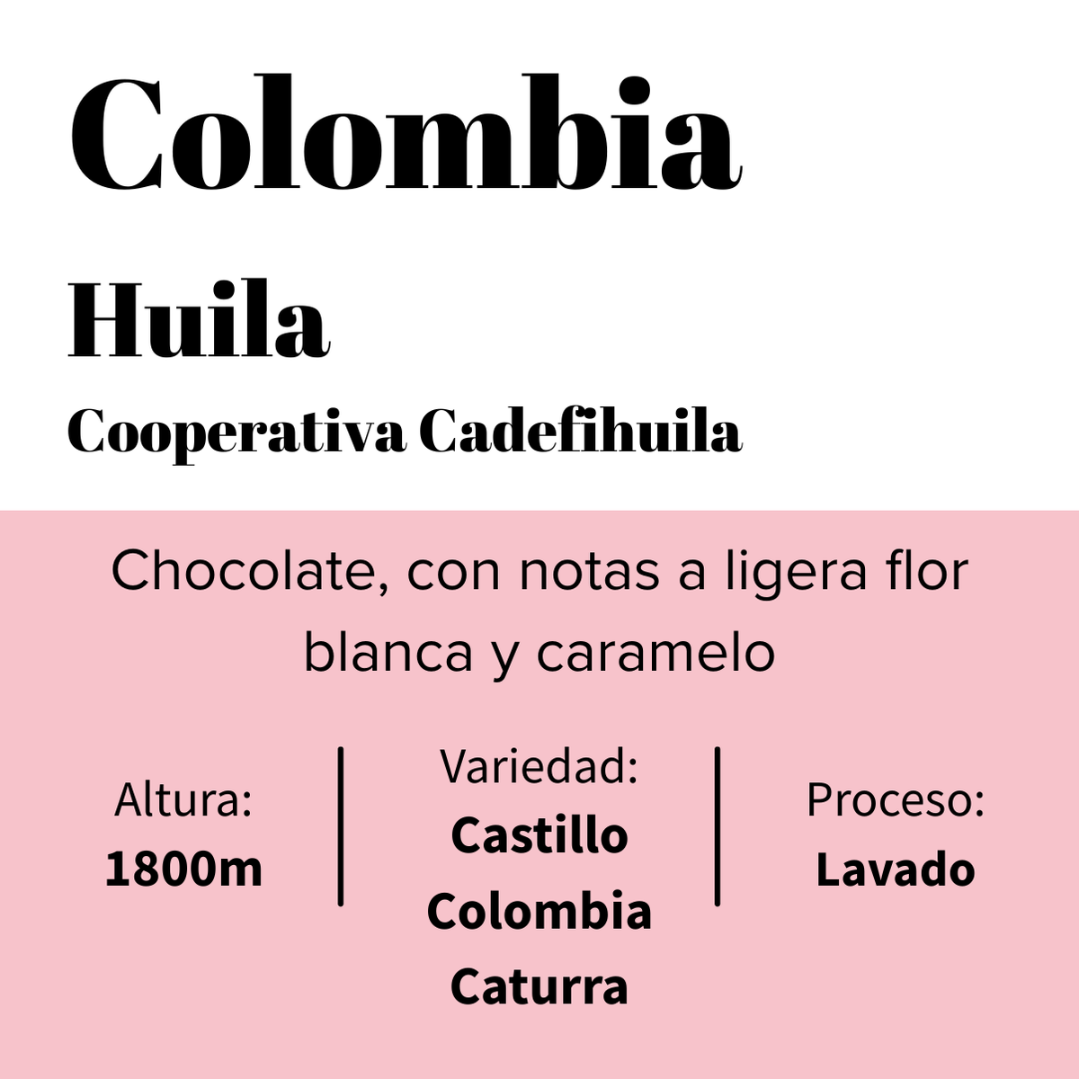 Colombia - Cadefihuila - Cooperativa - Lavado